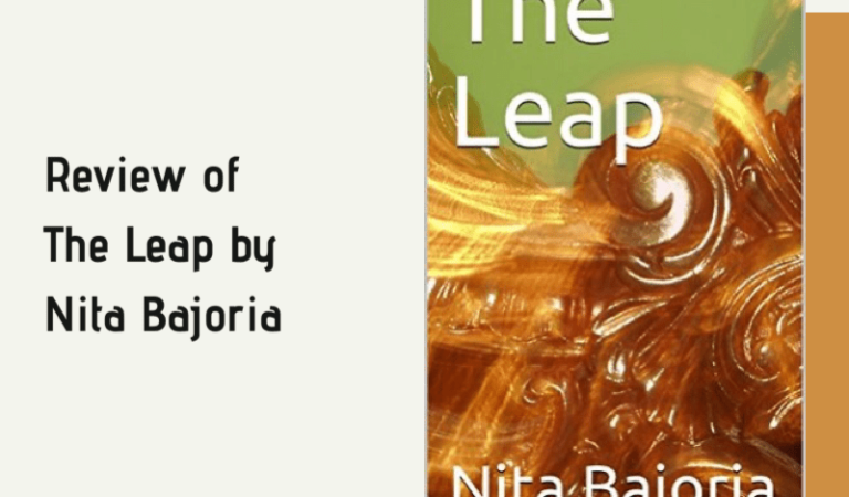 The Leap by Nita Bajoria