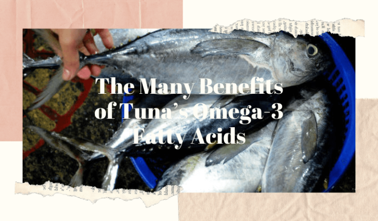 The Many Benefits of Tuna’s Omega-3 Fatty Acids The Many Benefits of Tuna’s Omega-3 Fatty Acids