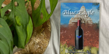 Book review of Blue Eagle by Sharada Kolluru