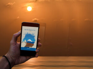 Book Review of Like The Radiant Sun by Anu Kay