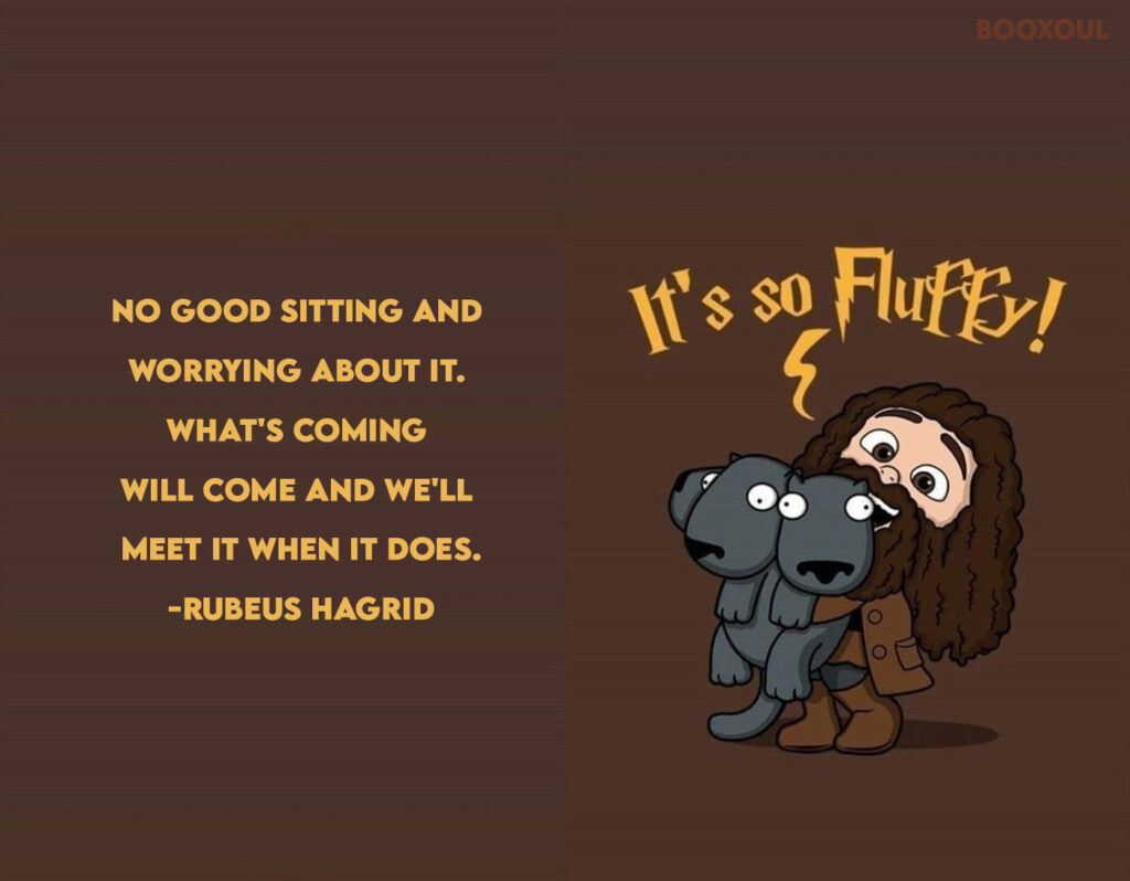 Return To Hogwarts: 12 Quotes From Our Favourite Harry Potter Characters Revisited - Rubeus Hagrid