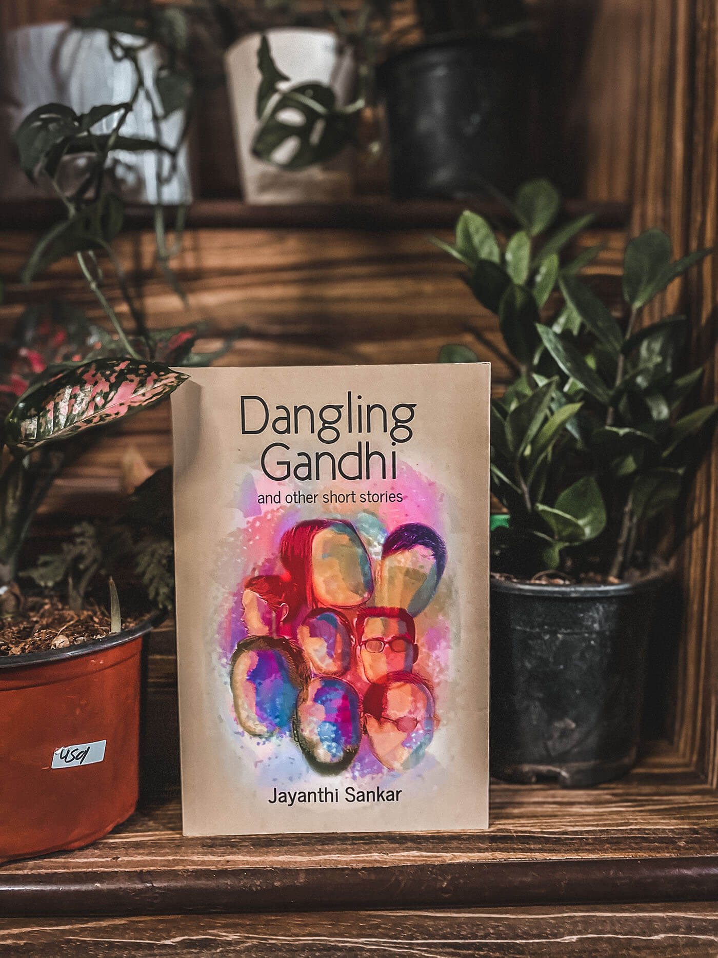 Book Review of Dangling Gandhi by Jayanthi Sankar