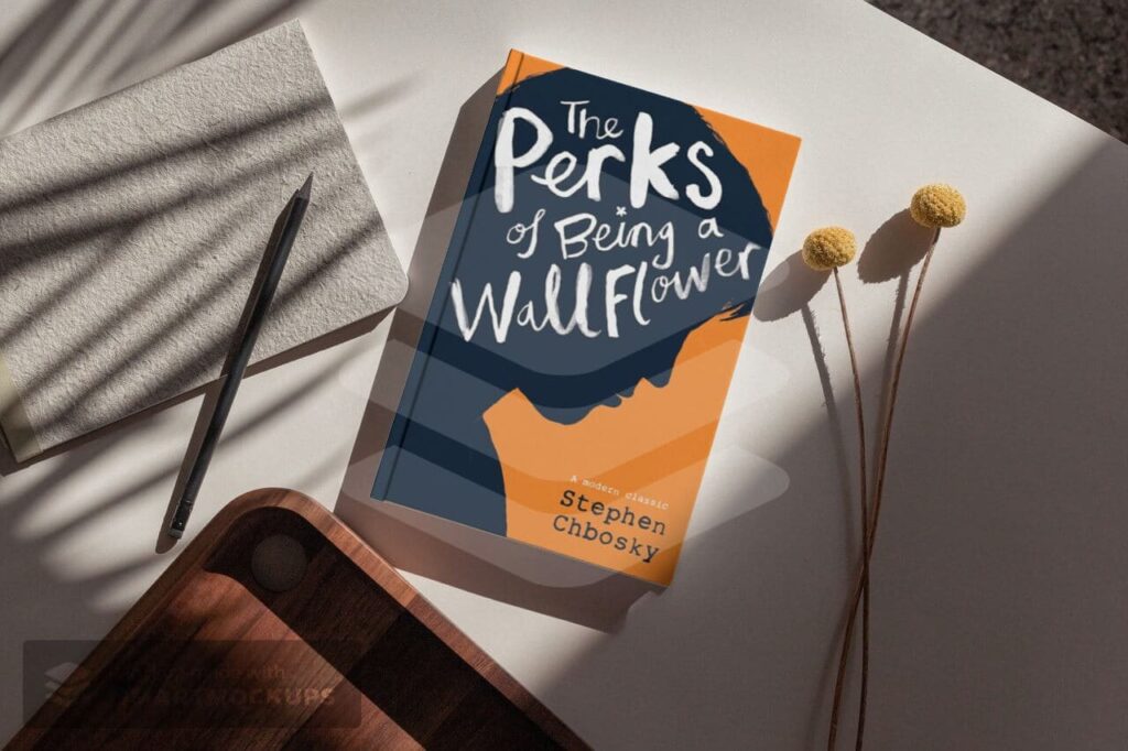 Book Recommendations For Teens This Summer Vacation - The Perks Of Being A Wallflower by Stephen Chbosky