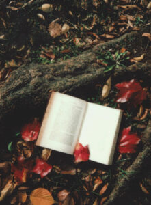 Love Reading Shayari And Urdu Poetry? Presenting Booxoul’s 5 Best Hindi Poetry Book Recommendations