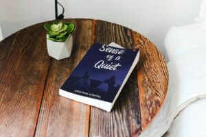 Sense of a Quiet | Deepak Kripal | Book Review
