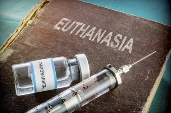 Euthanasia-A-Right-to-Mercy-Killing-or-a-Dignified-Death