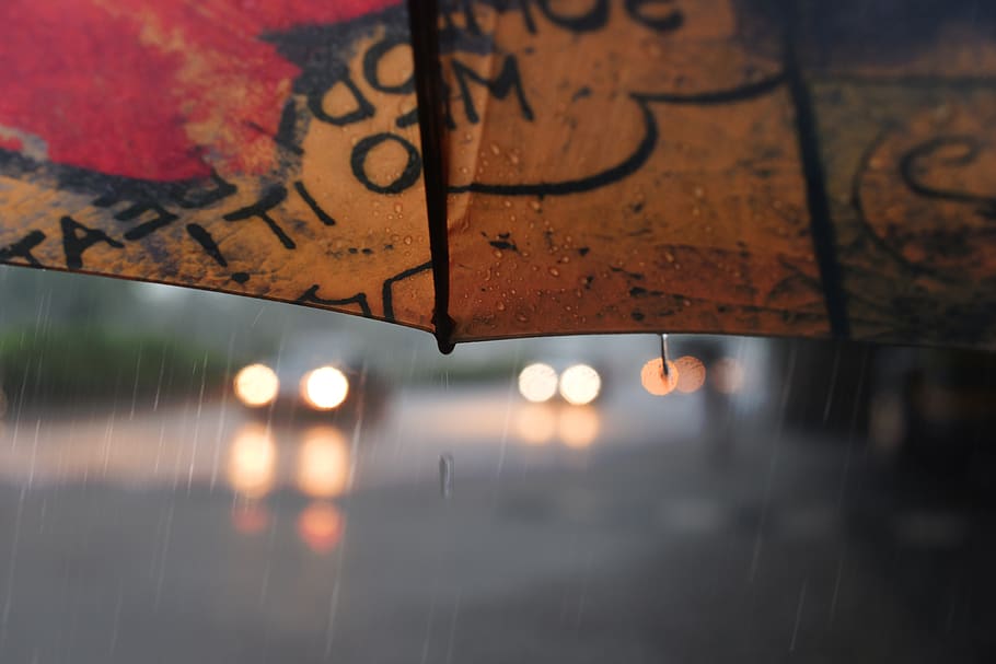 10 Best Monsoon Weekend Getaways Near Mumbai