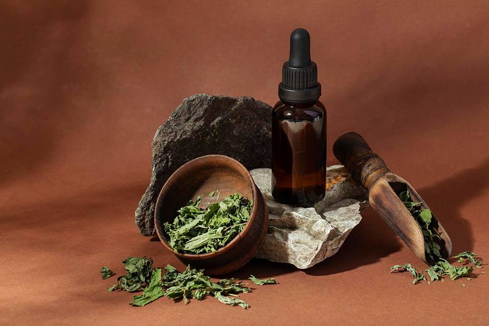 Sadhev: Ayurvedic Secrets Over Ages Past Are at Your Fingertips