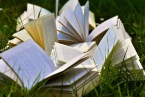 Unveiling the 20 Most Anticipated Reads of 2024: A Bookworm’s Delight