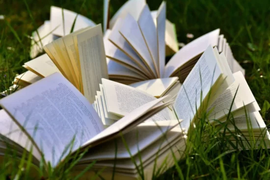 Unveiling the 20 Most Anticipated Reads of 2024- A Bookworm's Delight