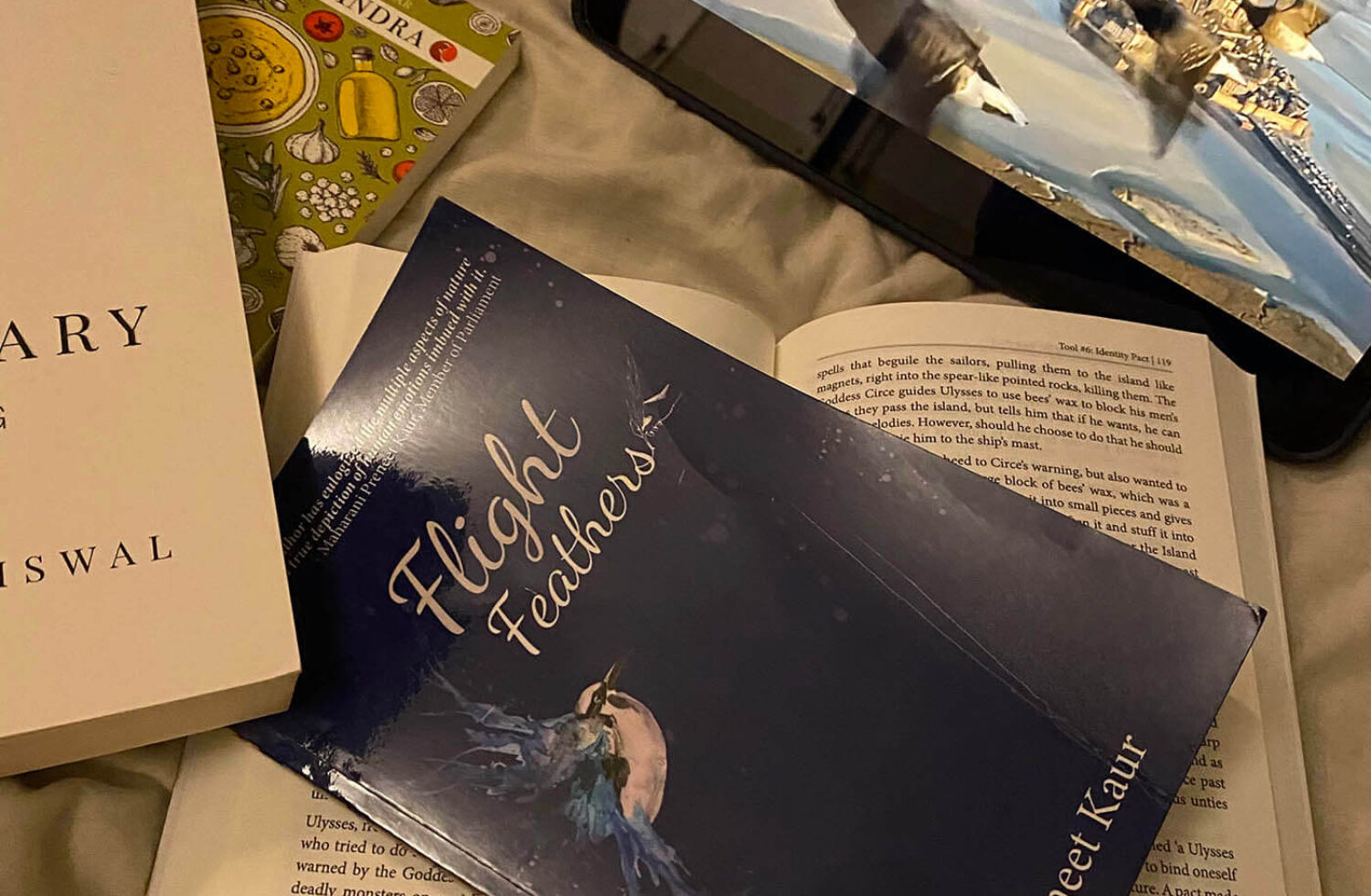Book Review Of Flight Feathers by Shubneet Kaur