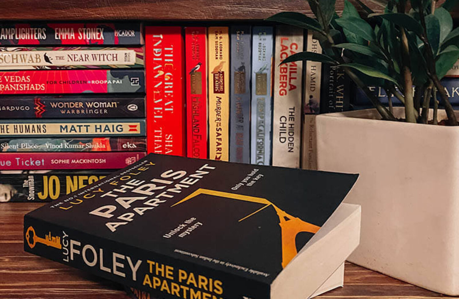 Book Review Of The Paris Apartment By Lucy Foley