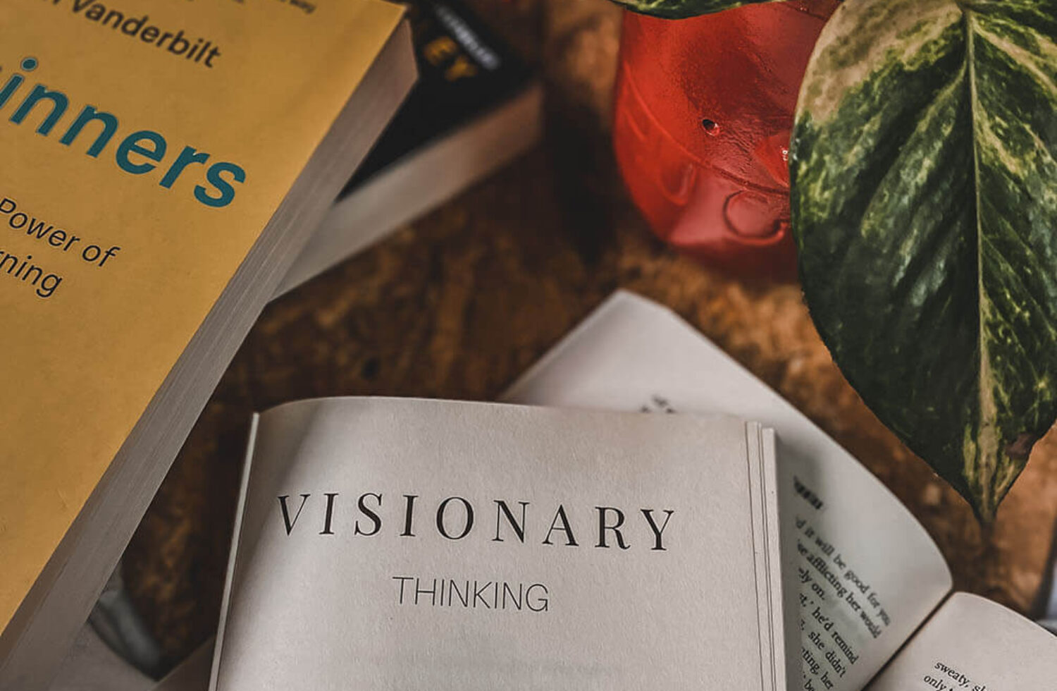 Book Review of Visionary Thinking By Ashish Jaiswal