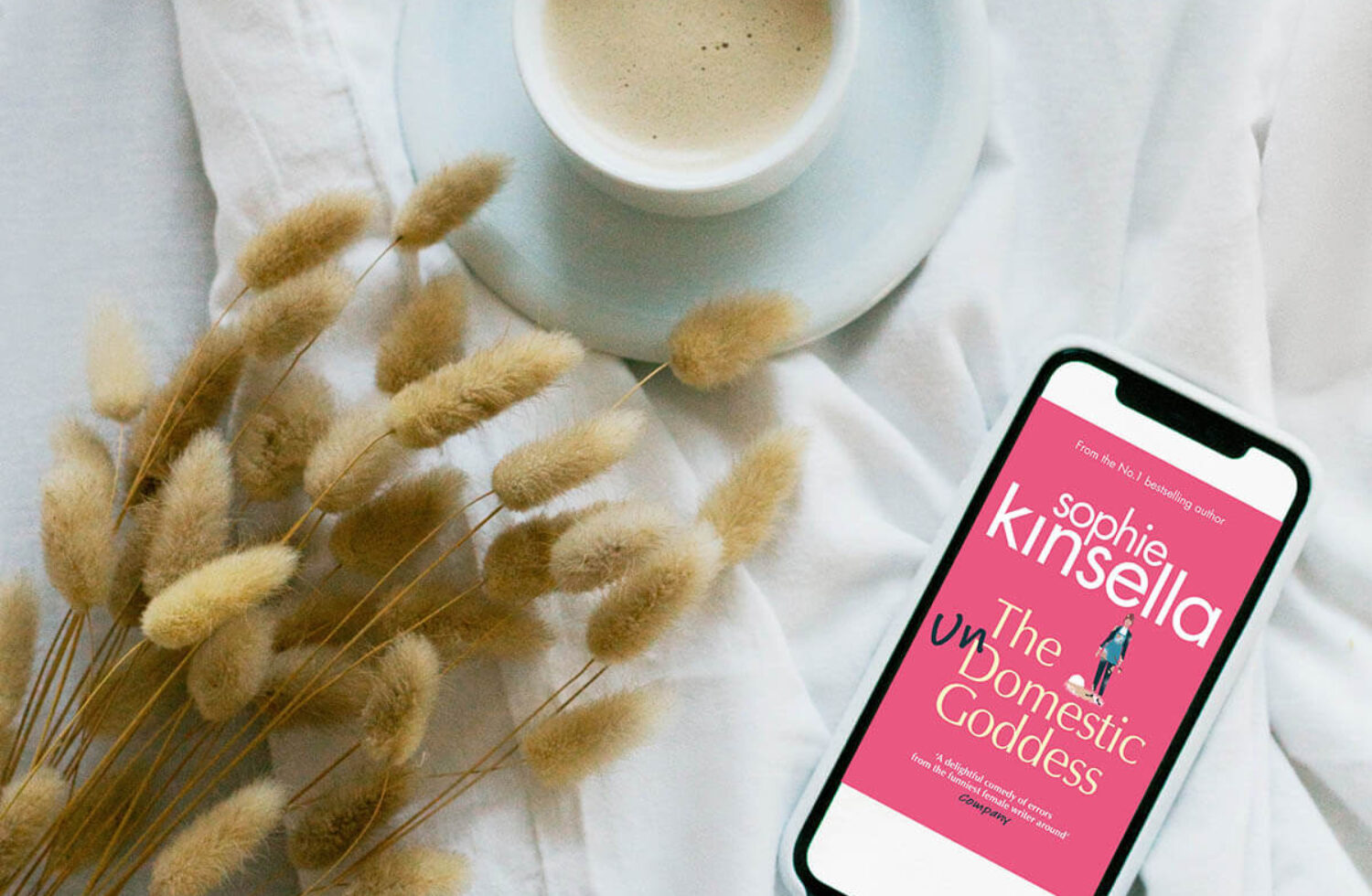 Exploring The Book By Sophie Kinsella, The Undomestic Goddess - A Journey Of Choices We Make