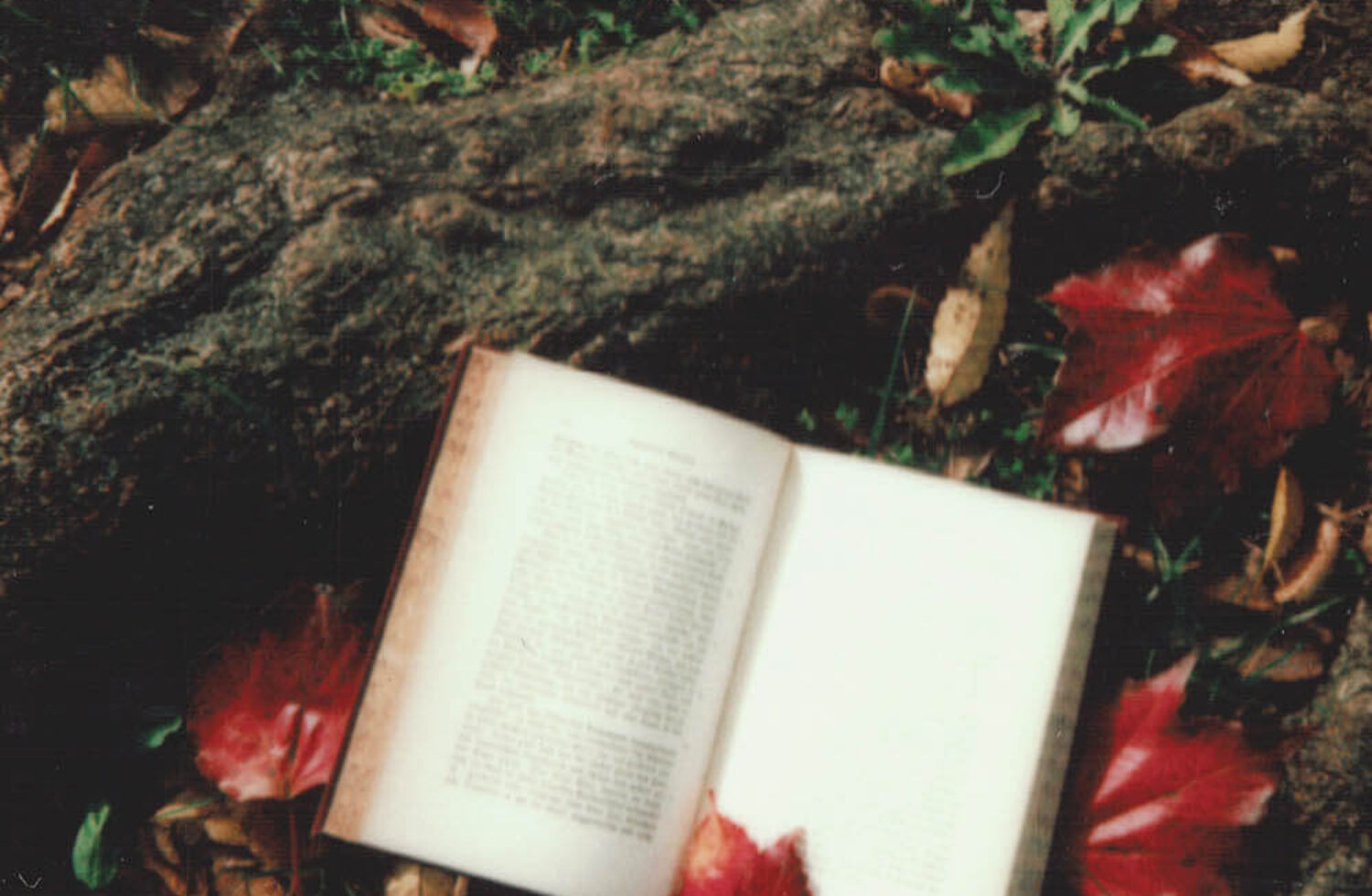 Love Reading Shayari And Urdu Poetry_ Presenting Booxoul's 5 Best Hindi Poetry Book Recommendations