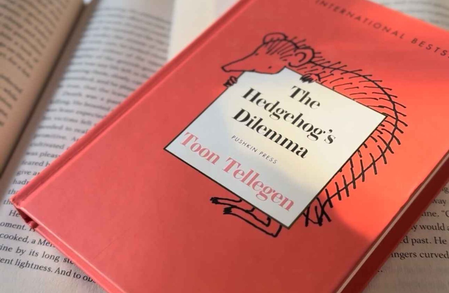 The Hedgehog Who Cancelled His Own Party- A Hilarious & Heartfelt Review of The Hedgehog’s Dilemma by Toon Tellegen The Hedgehog Who Cancelled His Own Party- A Hilarious & Heartfelt Review of The Hedgehog’s Dilemma by Toon Tellegen
